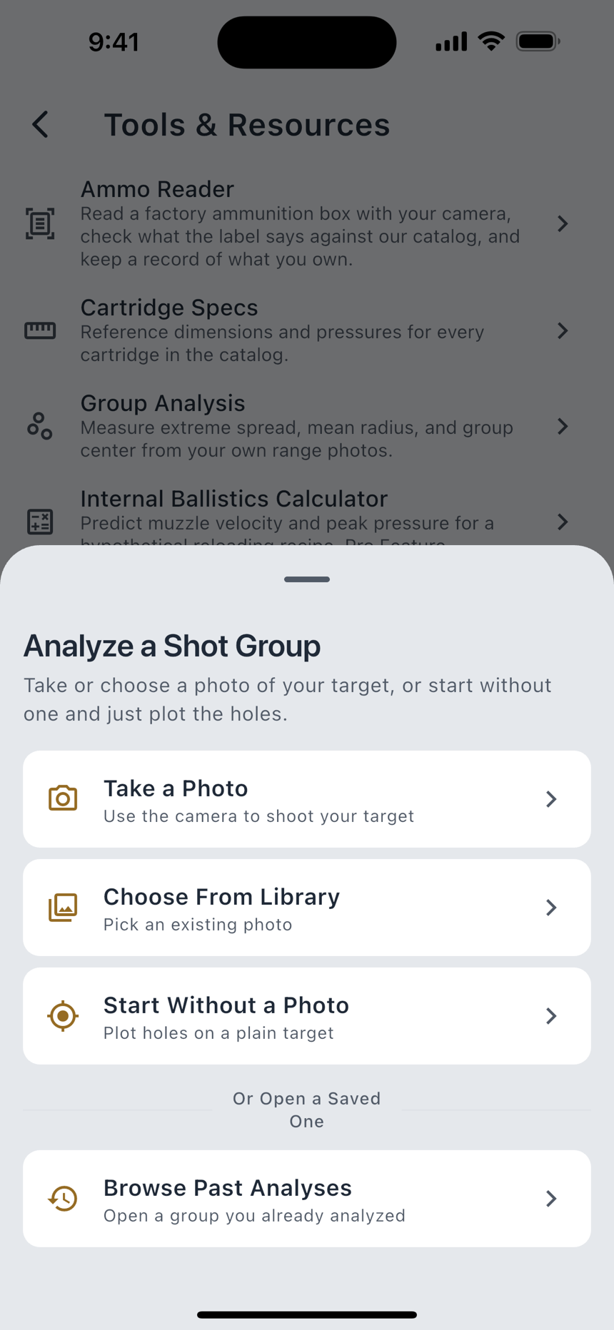 Group Analysis: the marked shots and the review stats.