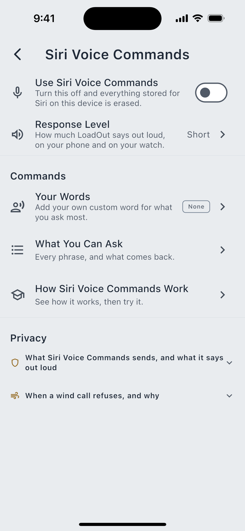 Siri Voice Commands, and the AI Features hub.